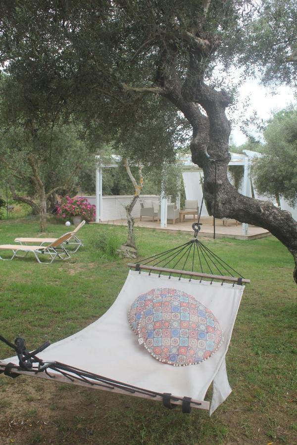 Rodis Studios Tsilivi  Exterior foto